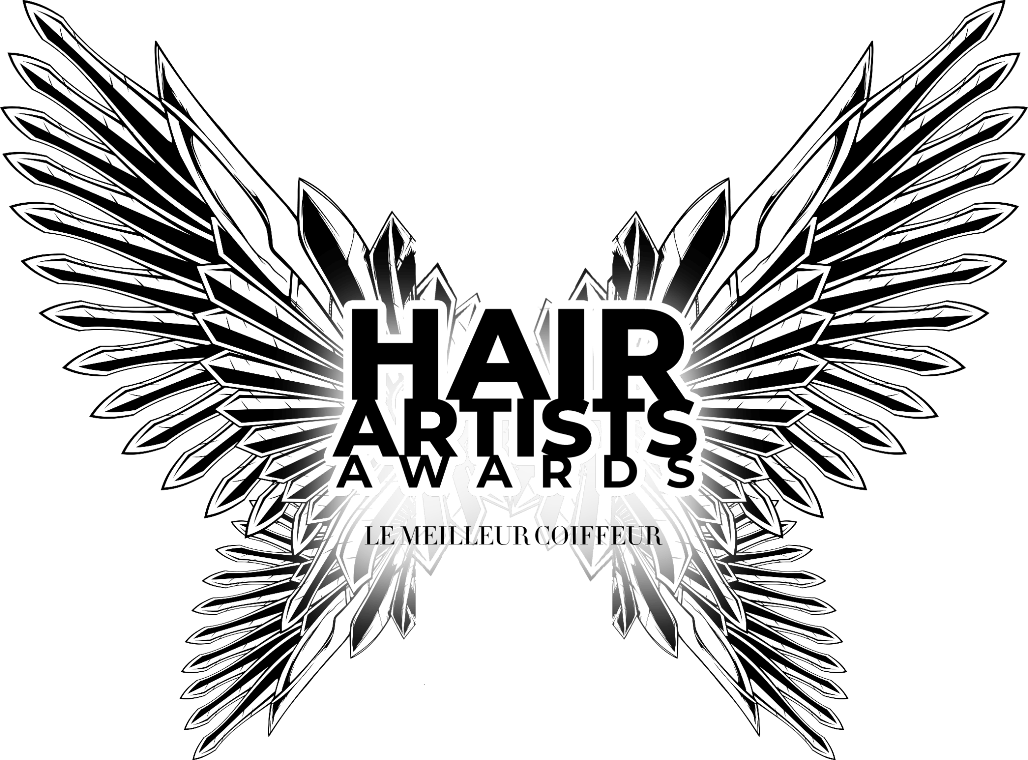 Hair Artist Award RAPHAËL PERRIER